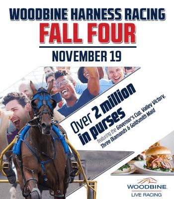 WOODBINEHARNESSRACINGNOV19