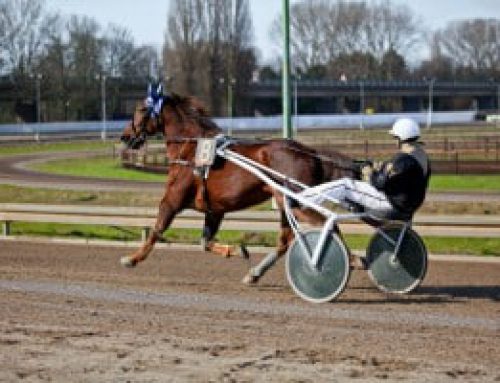How To Read A Harness Racing Program