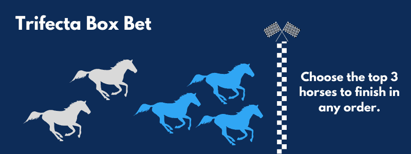 A Trifecta Box bet is one where you choose the top three horses, but they can finish in any order.