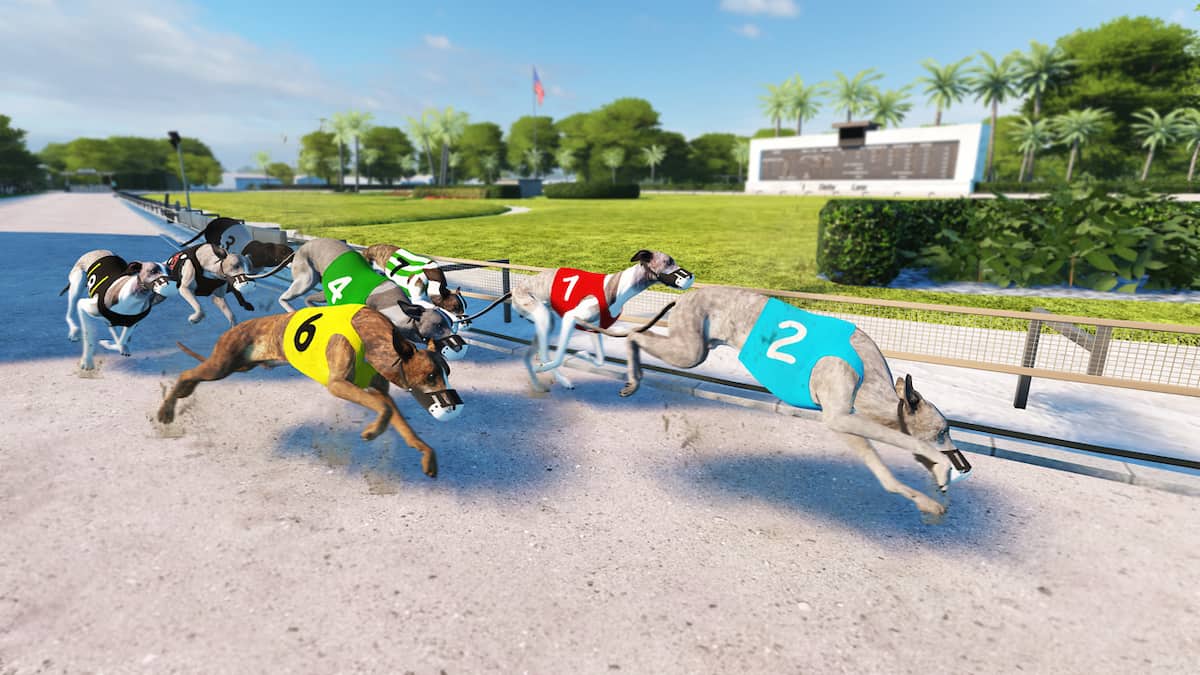 Derby Lane Greyhounds