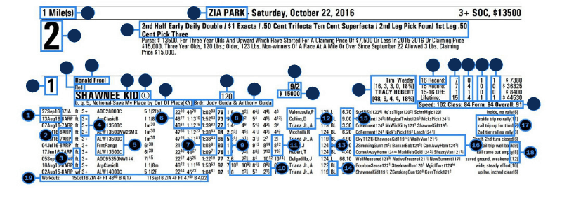 If you know how to read a horse racing program, you will find details about horse past performance.