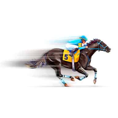 horse racing picks