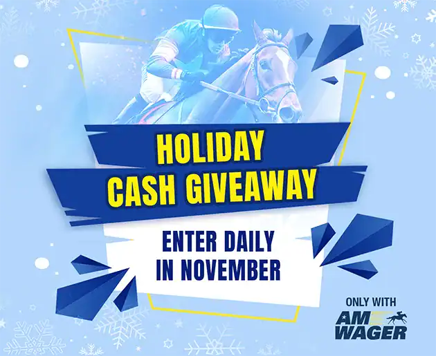 Holiday Cash Giveaway - November 2025