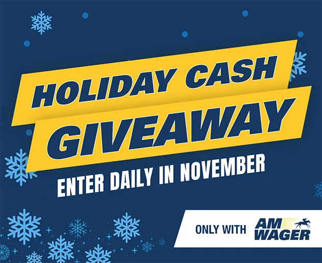 Holiday Cash Giveaway - November 2025 - v2