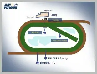 amwager-bet-live-horses-online-platform-Tampa-Bay-Downs